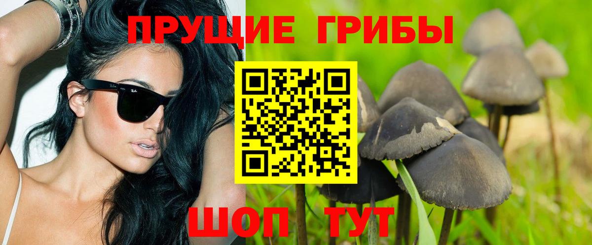 Ставрополь  Галлюциногенные грибы Psilocybine cubensis  Галлюциногенные грибы GOLDEN TEACHER  Вход с VPN 